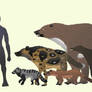 various carnivorous lemurs