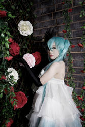 vocaloid - vintage rose