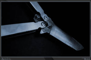 Anachron - Butterfly Knife