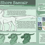 Shore Saecair Guide Sheet