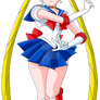 Sailor Moon *Sailor Moon S* vector