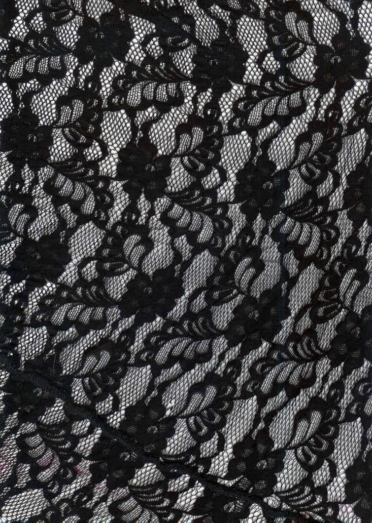 Deviantart Lace Lace by borrowedwings on DeviantArt