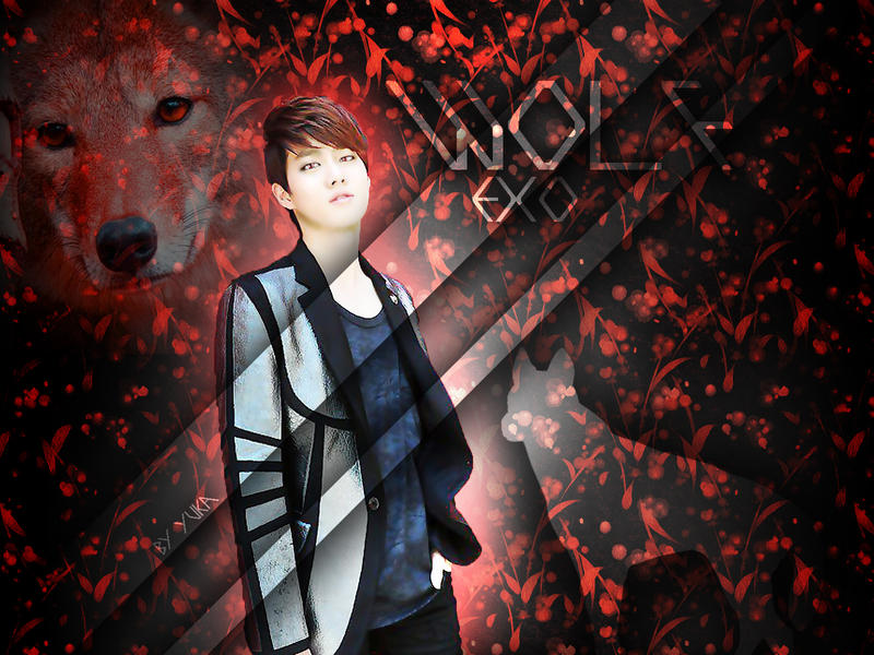 exo suho wolf wallpaper by yuka55202565