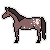 Brown appaloosa