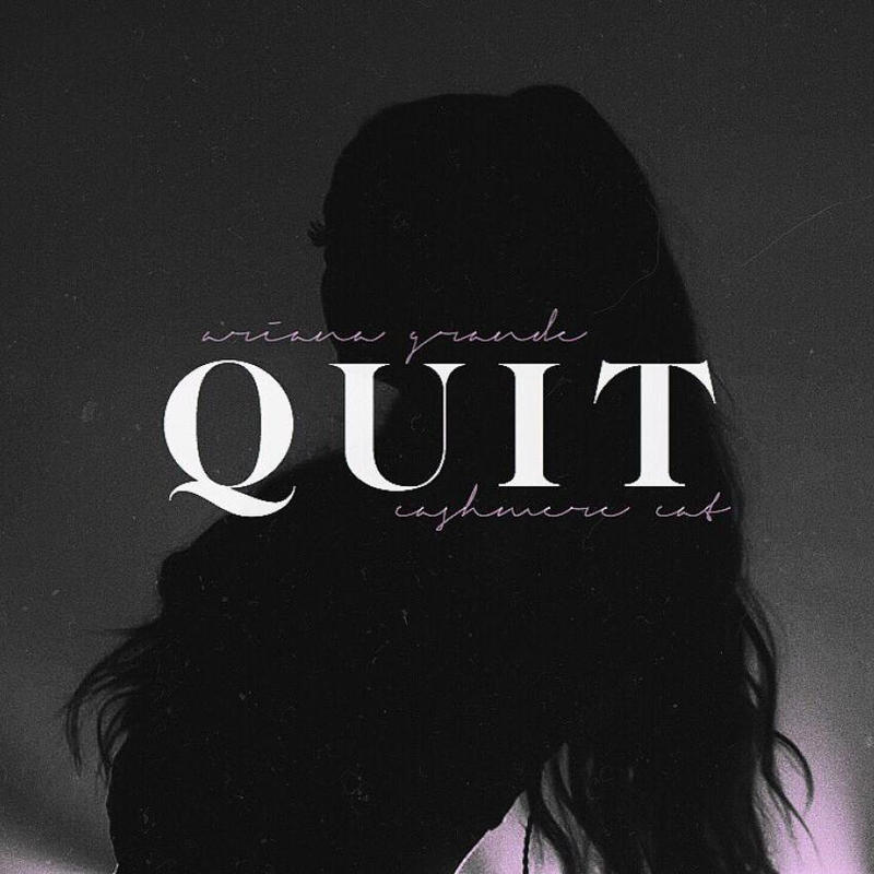 Image result for quit ariana grande