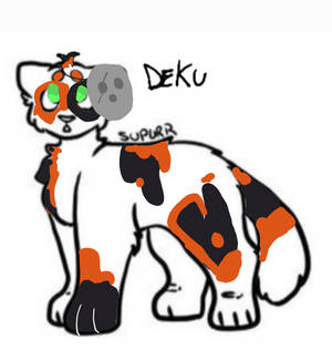 Deku ( cat) ref - warrior cat clan winter dragon
