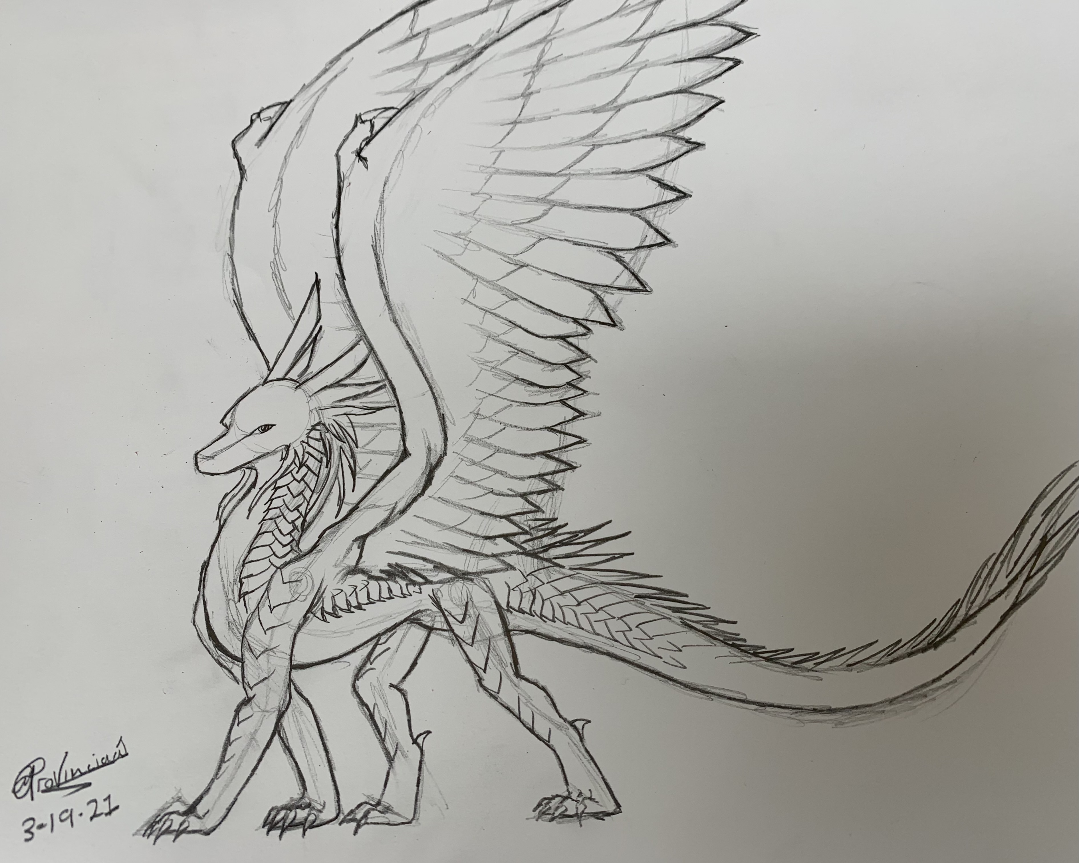 Dergy doodle hybrid by Provinciaa1 on DeviantArt