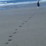 Footprints