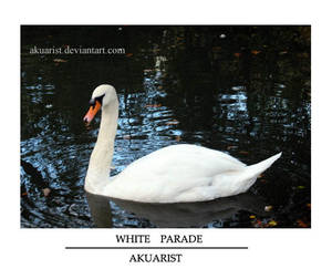 White Parade