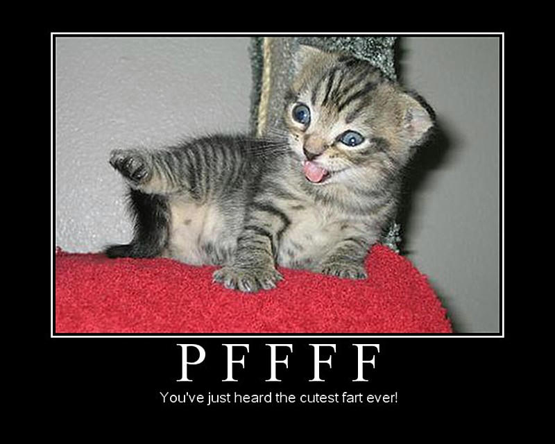 Pfff Rá Pffff by sthlrd67 on DeviantArt