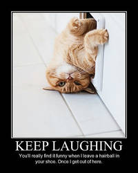 Laugh It Up