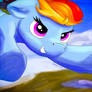 Rainbow dash flies