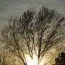 Silhouette at Sunset