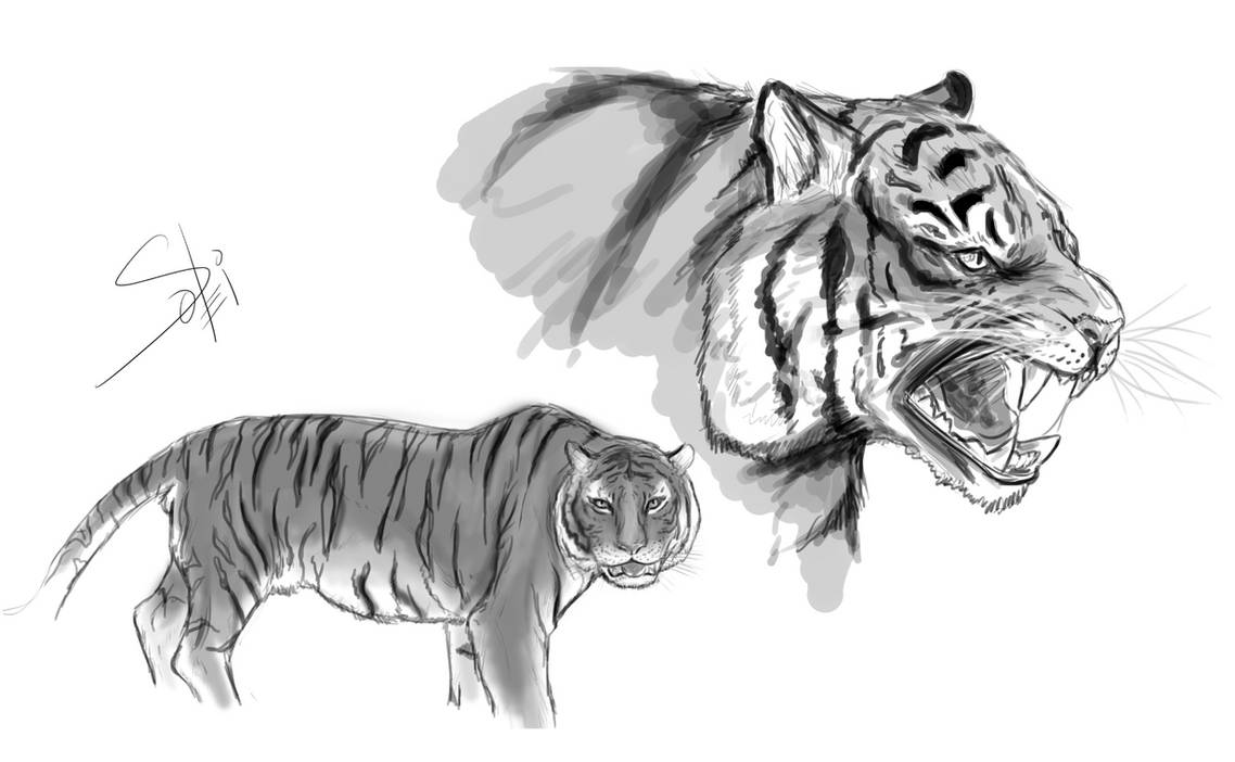 Tiger badge! by Solfei on DeviantArt