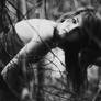 find me beneath vines