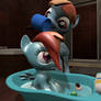 Dashie's Bath