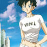 Videl in the city