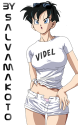 VIDEL 1