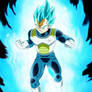 Vegeta  dragonball super