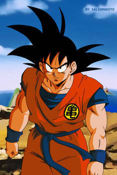 Son Goku DBZ