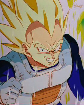 Vegeta Ssj Namek