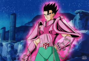 Gohan De Andromeda