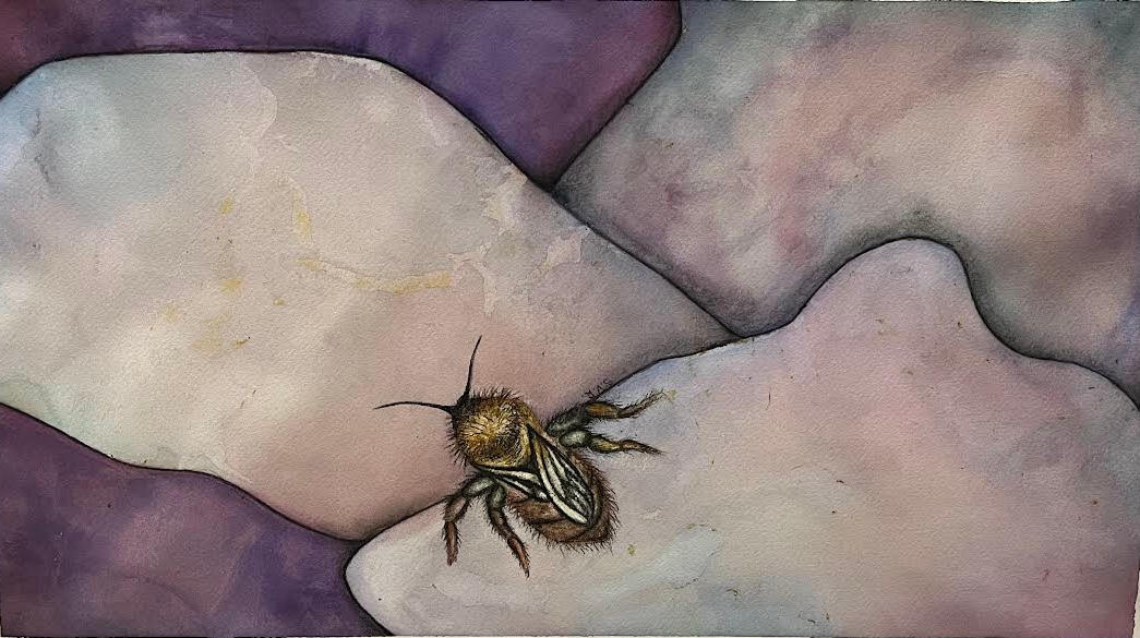 Bee Deviantart Style Bee by ShyDissociation on DeviantArt