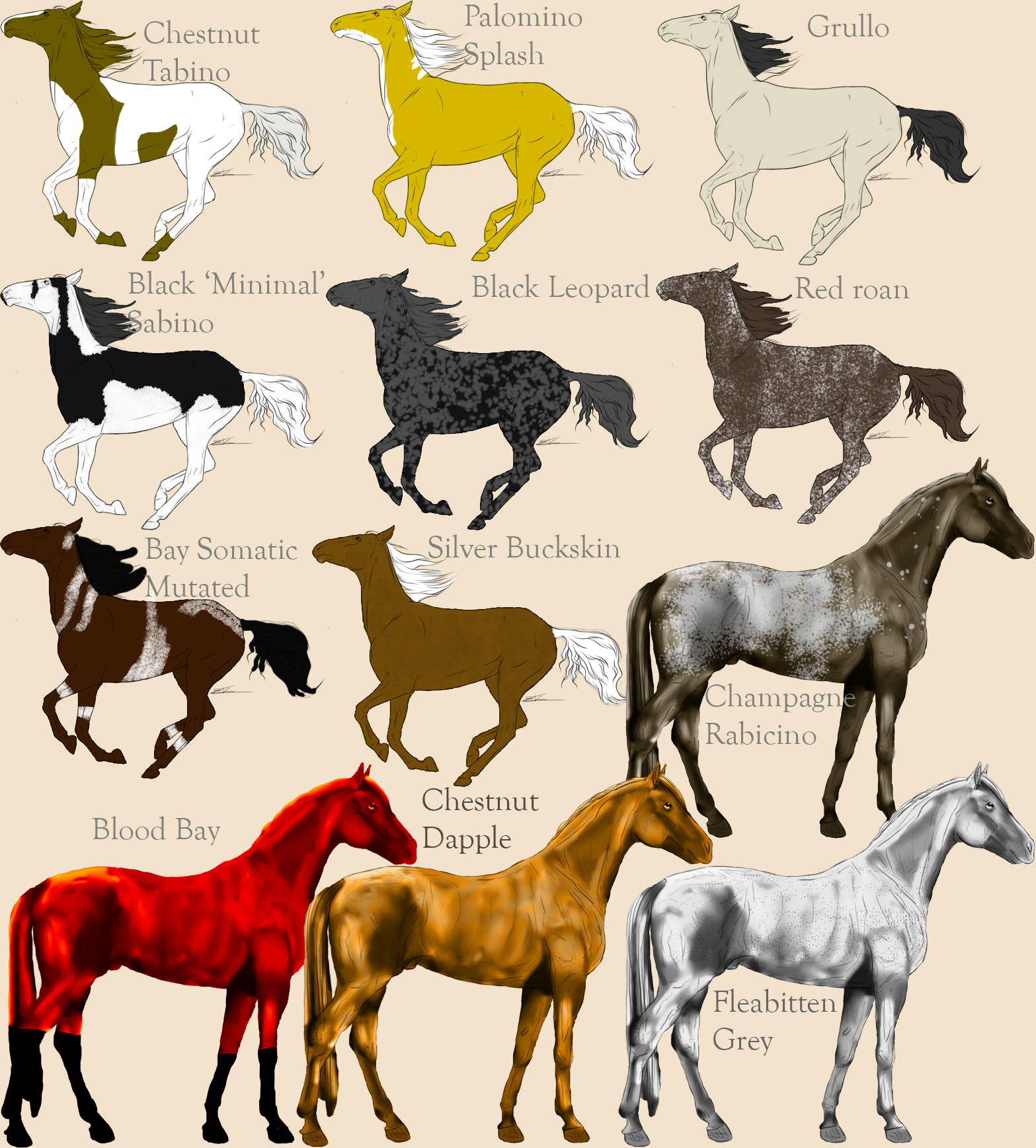 Adoptables