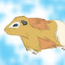 Guinea Pig