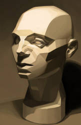 Asaro Head - Planar Study