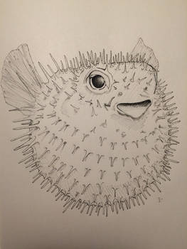 Blowfish