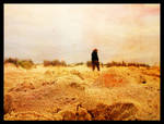 Zee 07: Sand dunes 03 by adamwolf