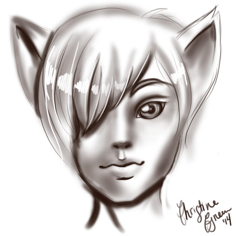 Catboy - Elements Concept by kurisutin on DeviantArt