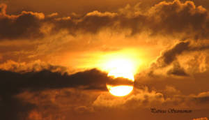 Sunburst  Natures Painted Sky