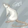 Ghost the Rat