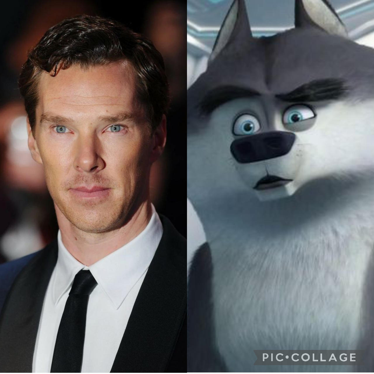 Benedict Cumberbatch as Classified by Returnoftherose on DeviantArt