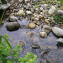 brook or creek