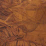 Leather Texture