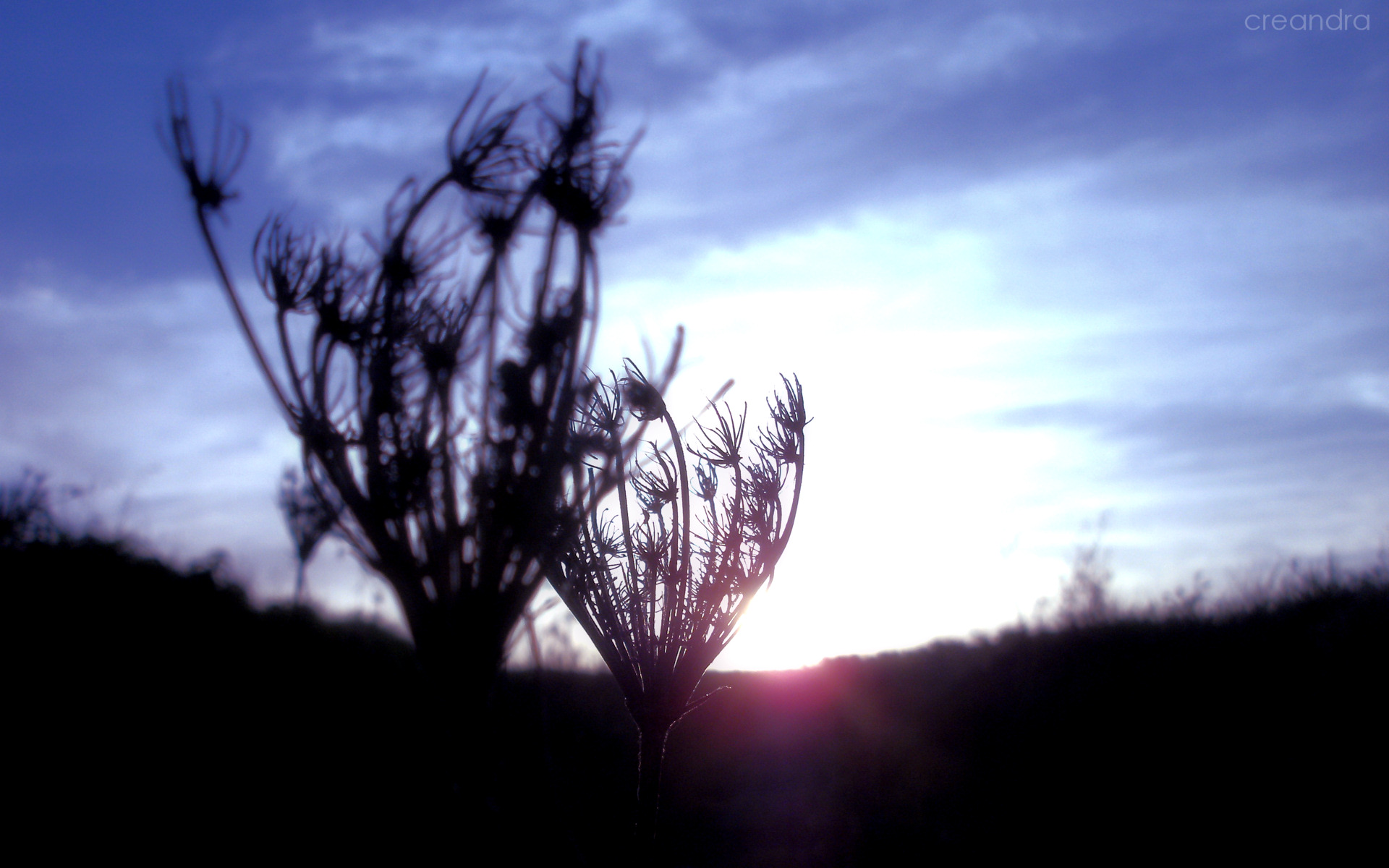 Look to the West