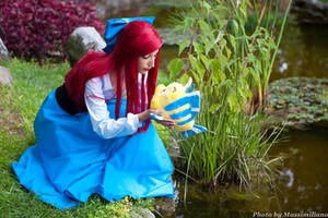 Disney -  Ariel