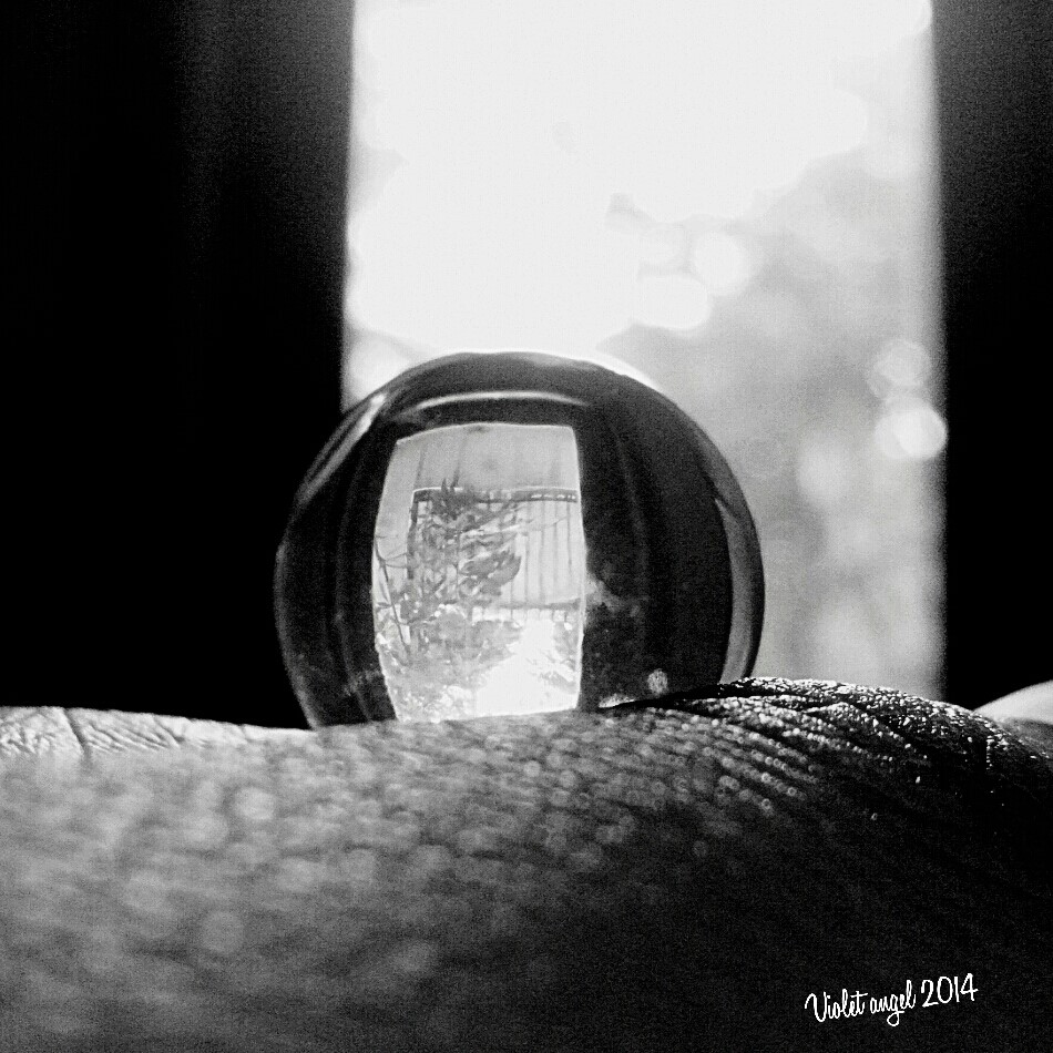 see through a ball - BW