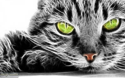 Fractalius: Cat