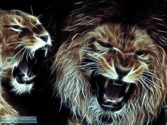 Fractalius: Lion and lioness