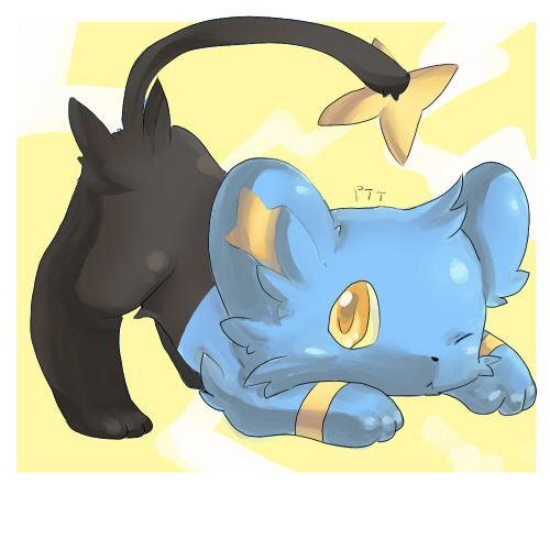 Shinx