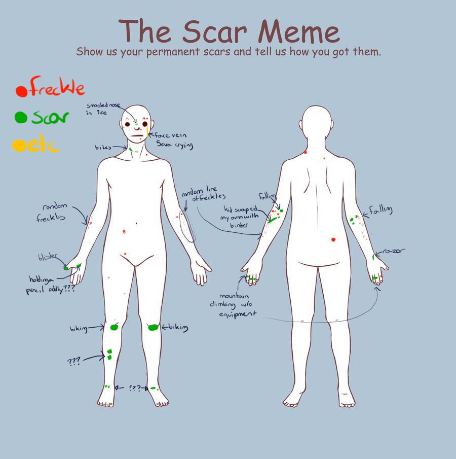 Scarmeme