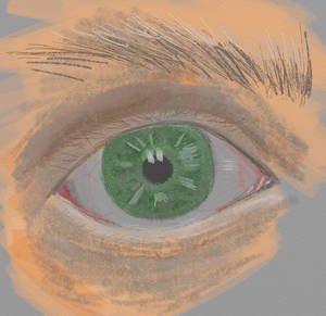 2012-04-01 - Eye
