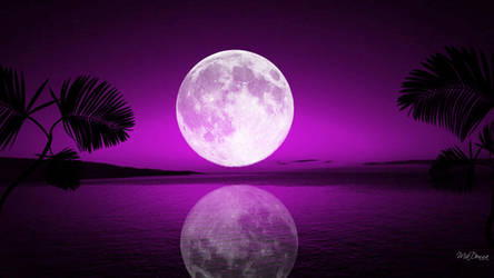 Purple moonlight