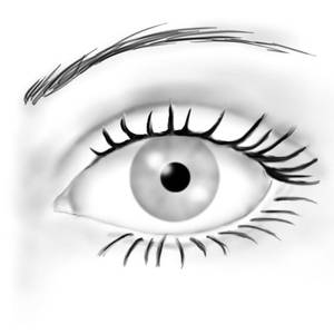 Eye-study