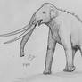 Random Sketches - Palaeoloxodon Namadicus