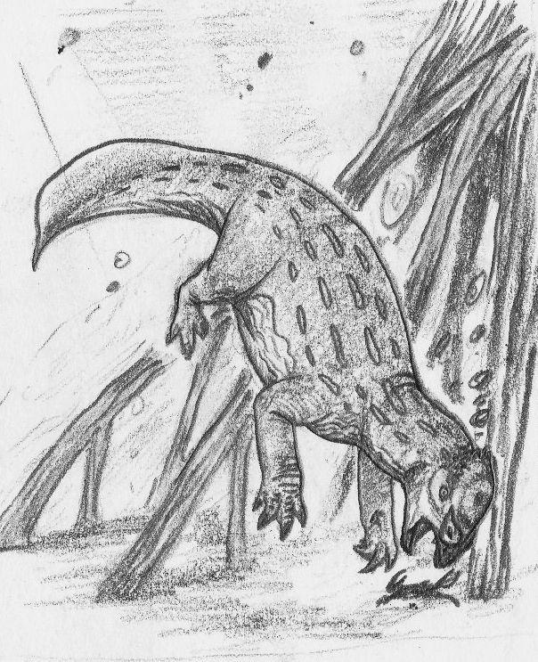 Shellcracker Drawing Hypoemtasia Bestiary - Shellcracker by Hypoem87 on DeviantArt